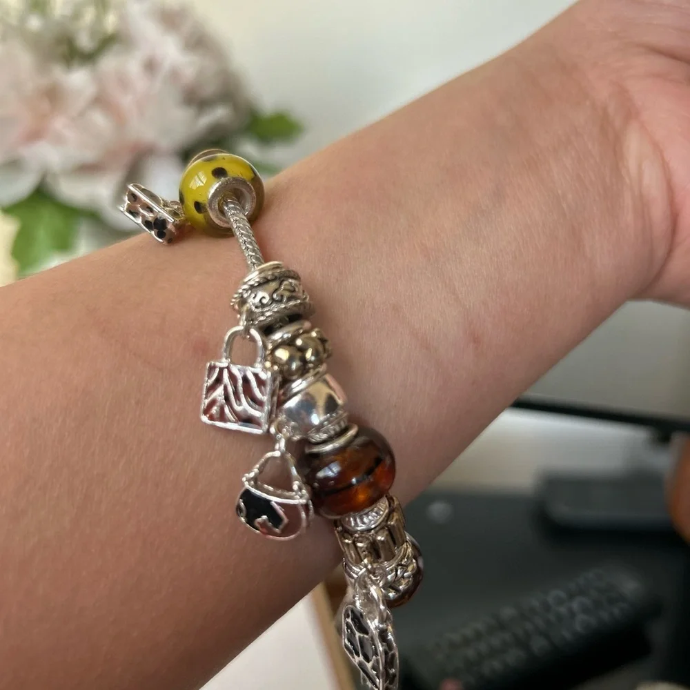 Elegant Silver and Brown Charm Bracelet